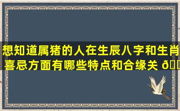 想知道属猪的人在生辰八字和生肖喜忌方面有哪些特点和合缘关 🌳 系吗八字看命理学为你解答！